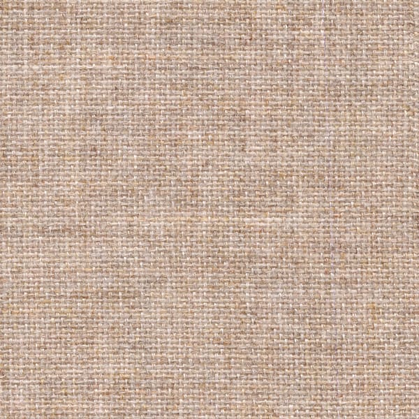 Camel 2100-404