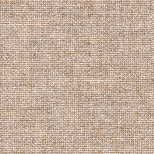 Camel 2100-404