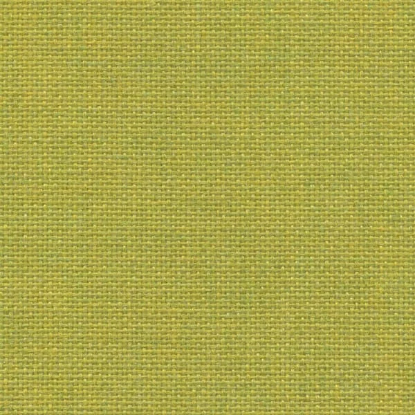 Mustard 2100-734