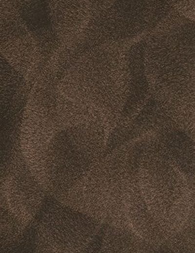 Weathered Bronze 1204