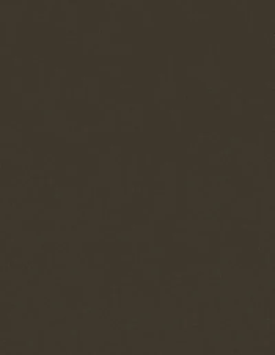 Bronze 1205