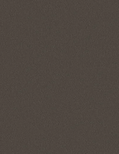 Pearl Bronze 1209