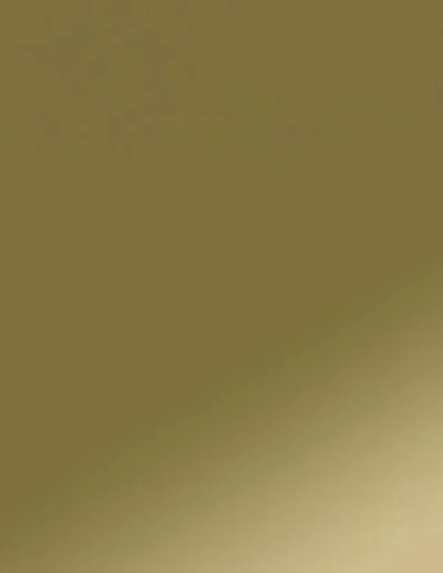 Polished Brass 1251