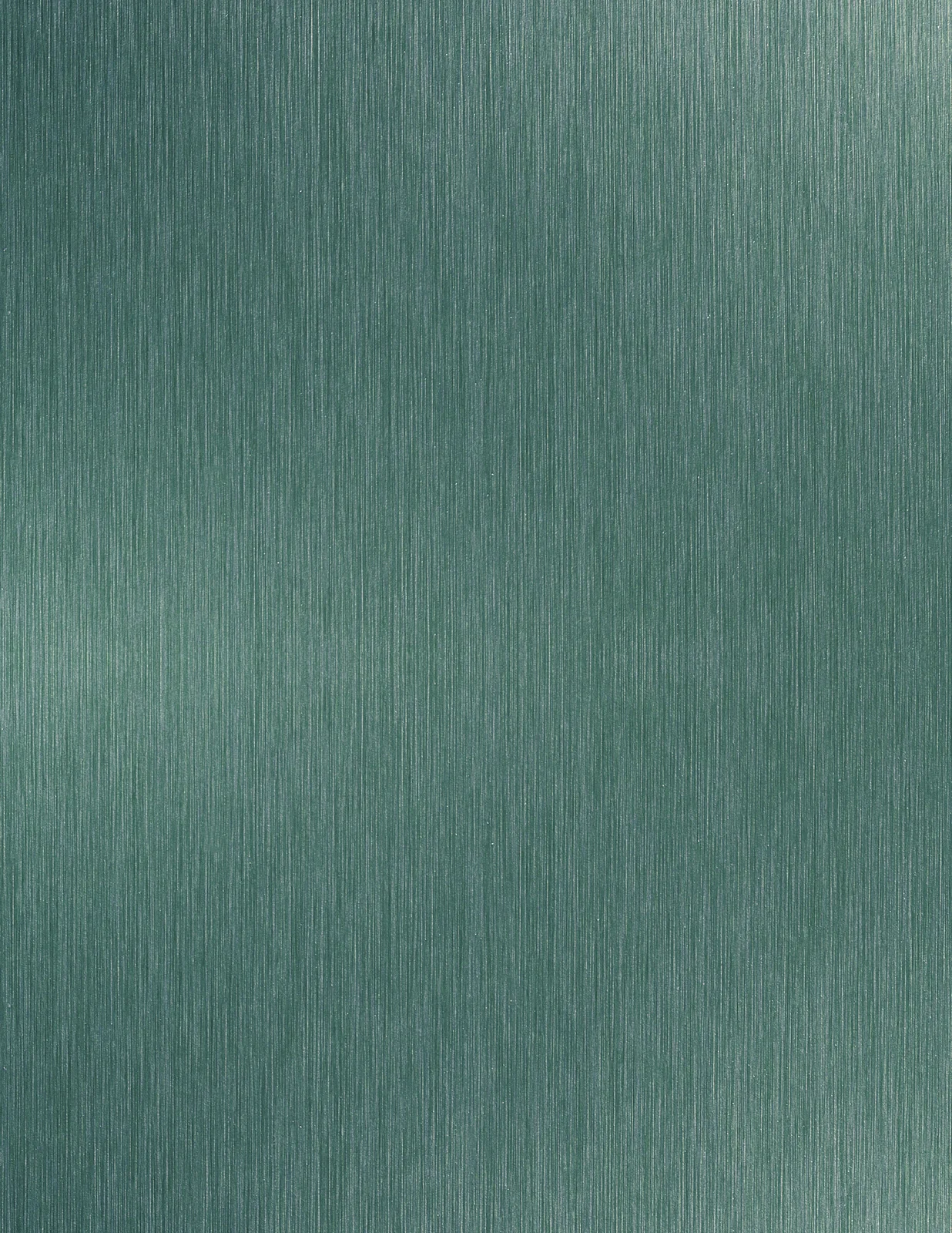 Brushed Aluminum 1009