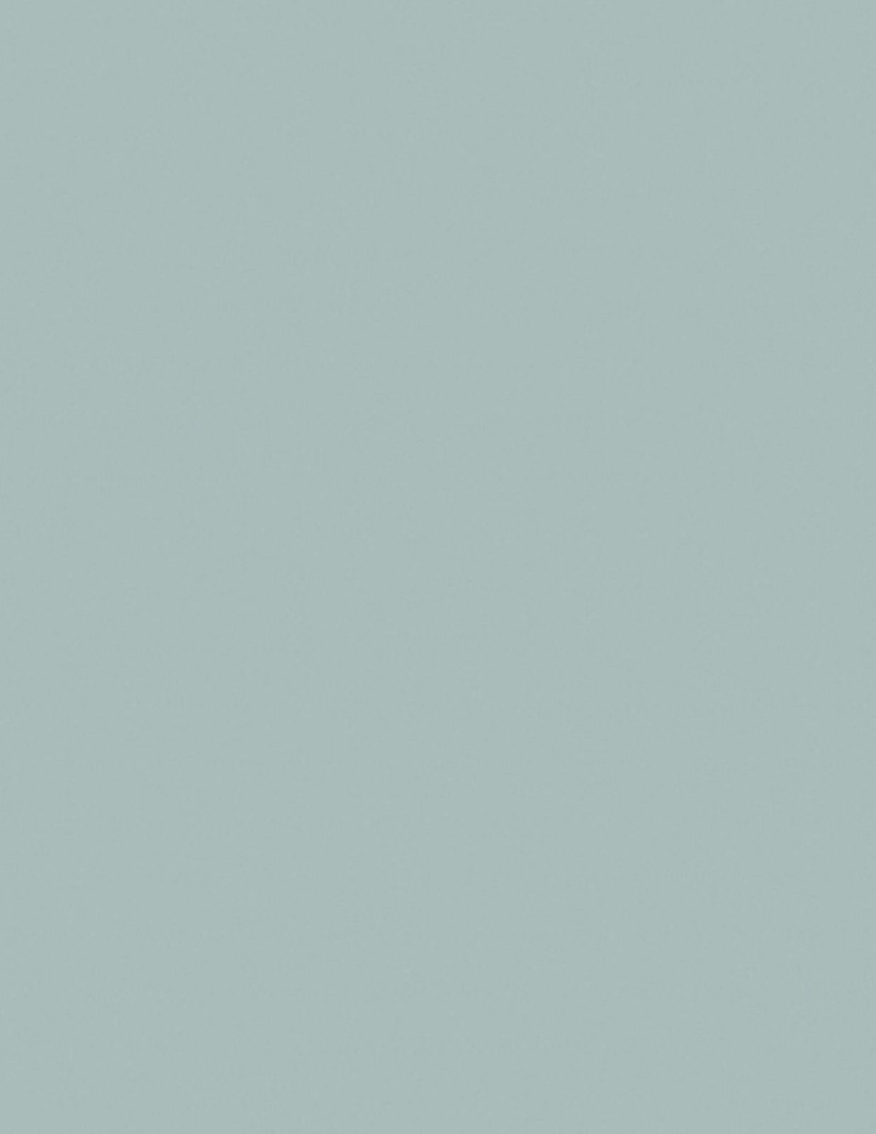 Graphite Mist 101010