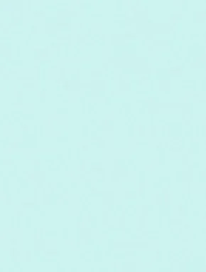 Menta 1158