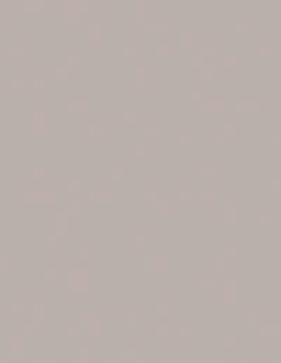 Warm Taupe 1178