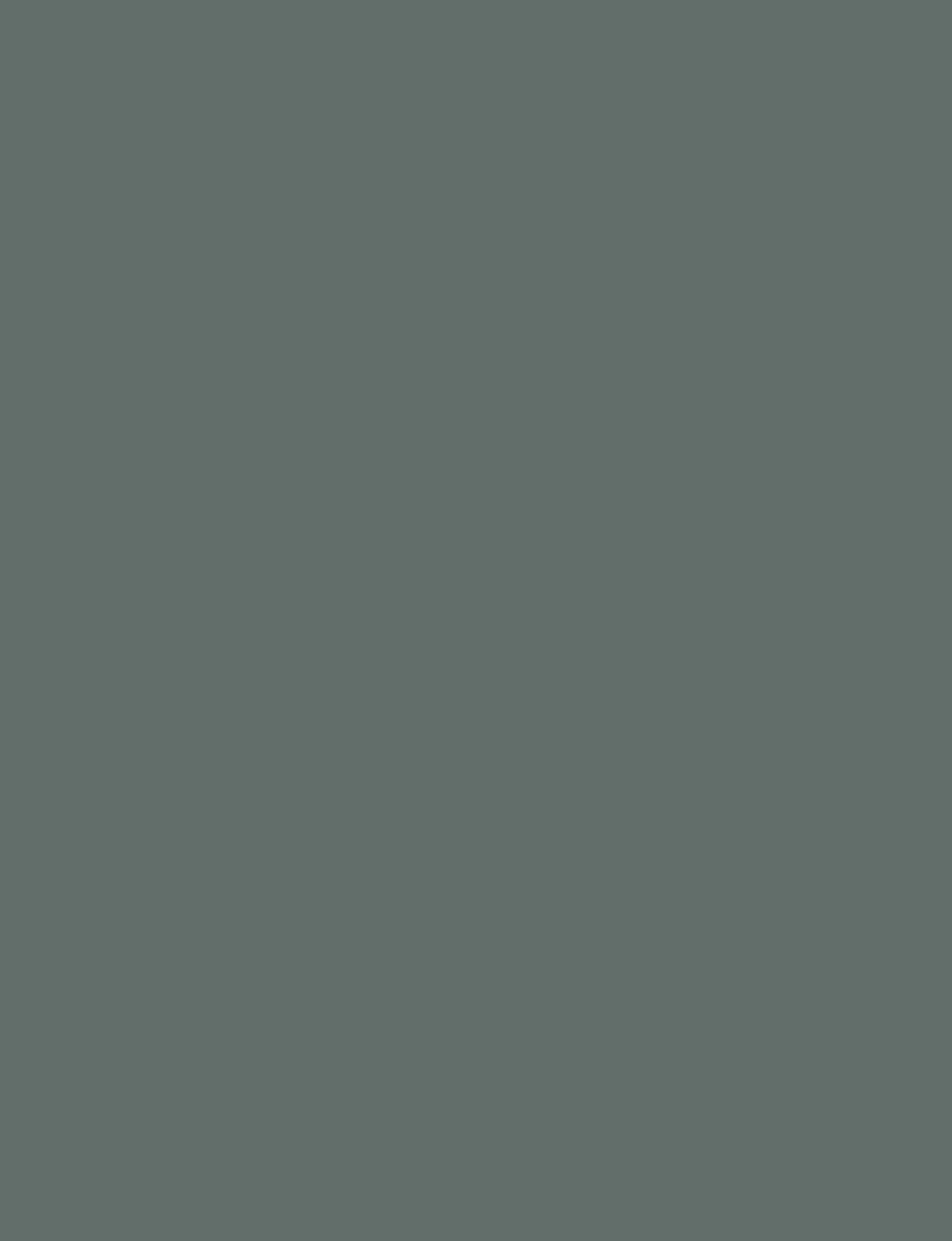 Forest 1216