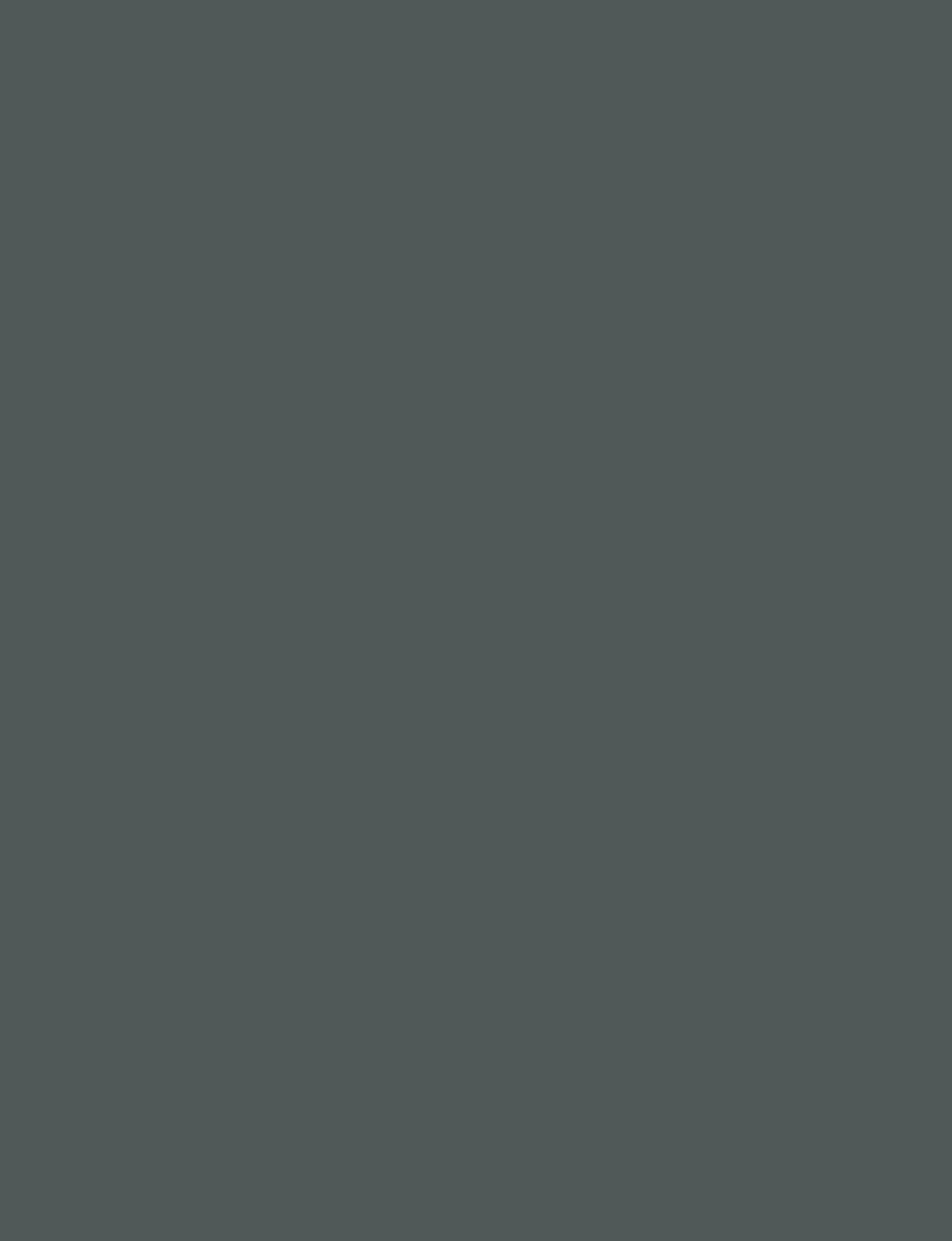 Dark Steel 1217