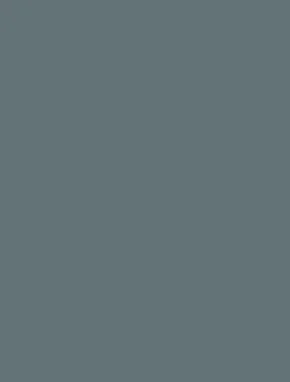 Mist 1224