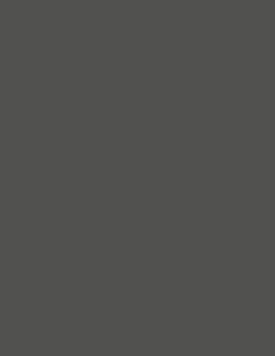 Slate Grey 1235