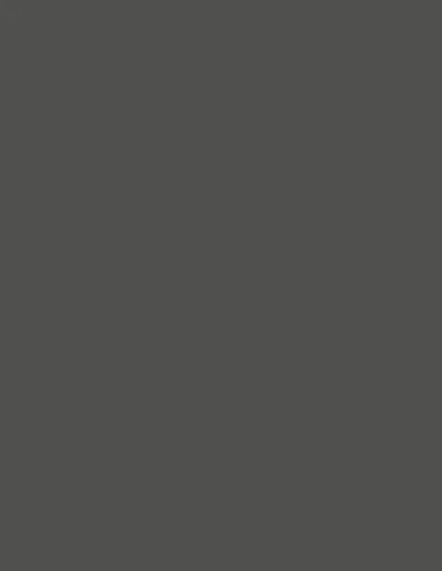 Slate Grey 1235