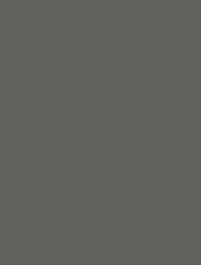 Shadow 1256