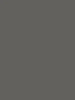 Steel Grey 1256