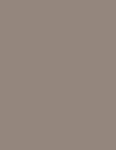 Stone Grey 1264