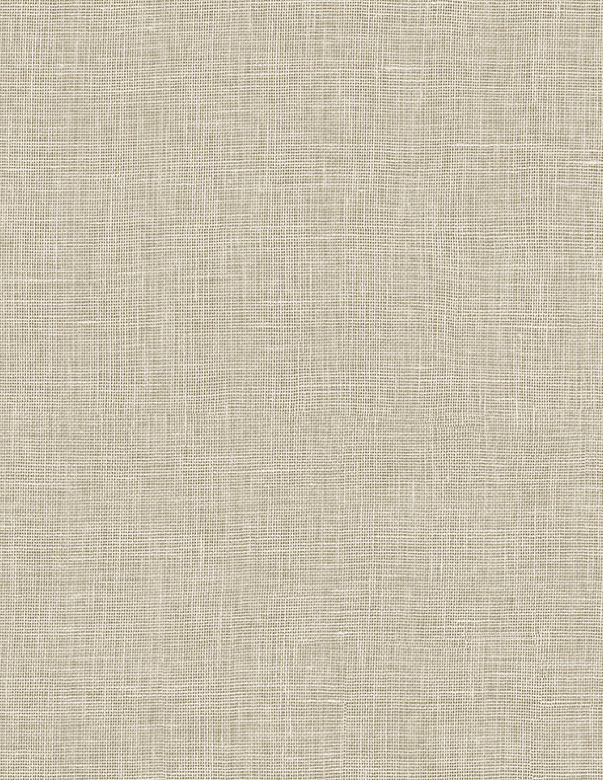 Canvas Beige 101028