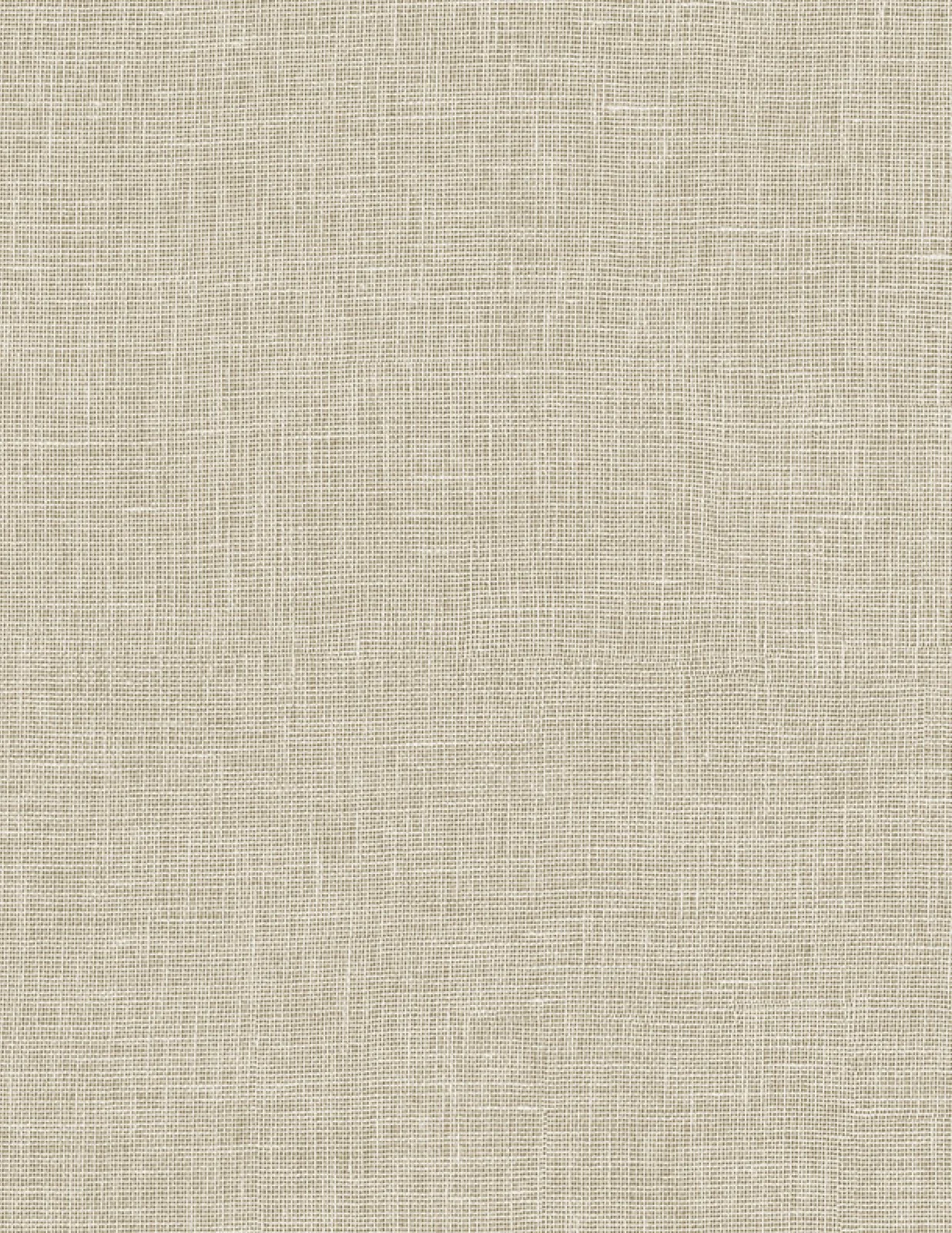 Canvas Beige 101028