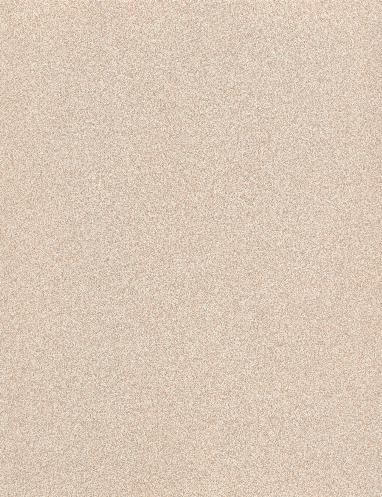 Sand Stardust