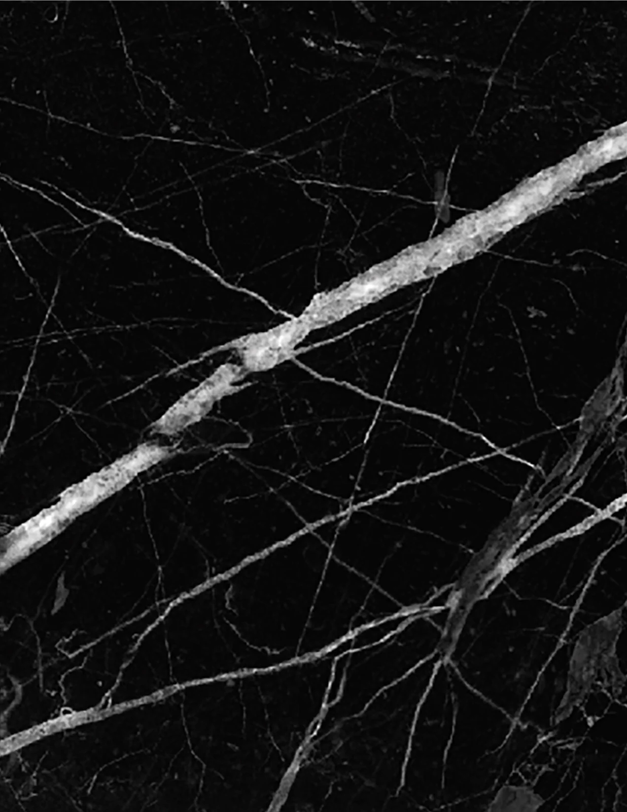 Imperial Marble 702724