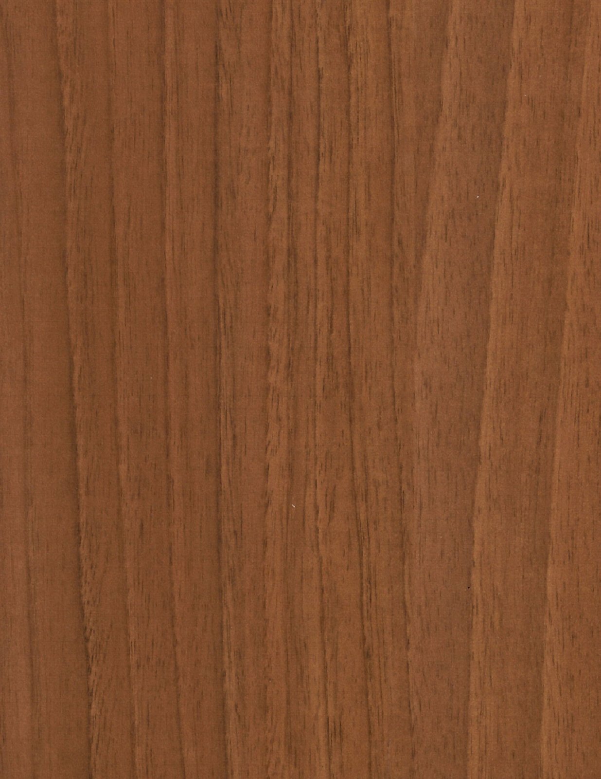 Walnut Spice 101031