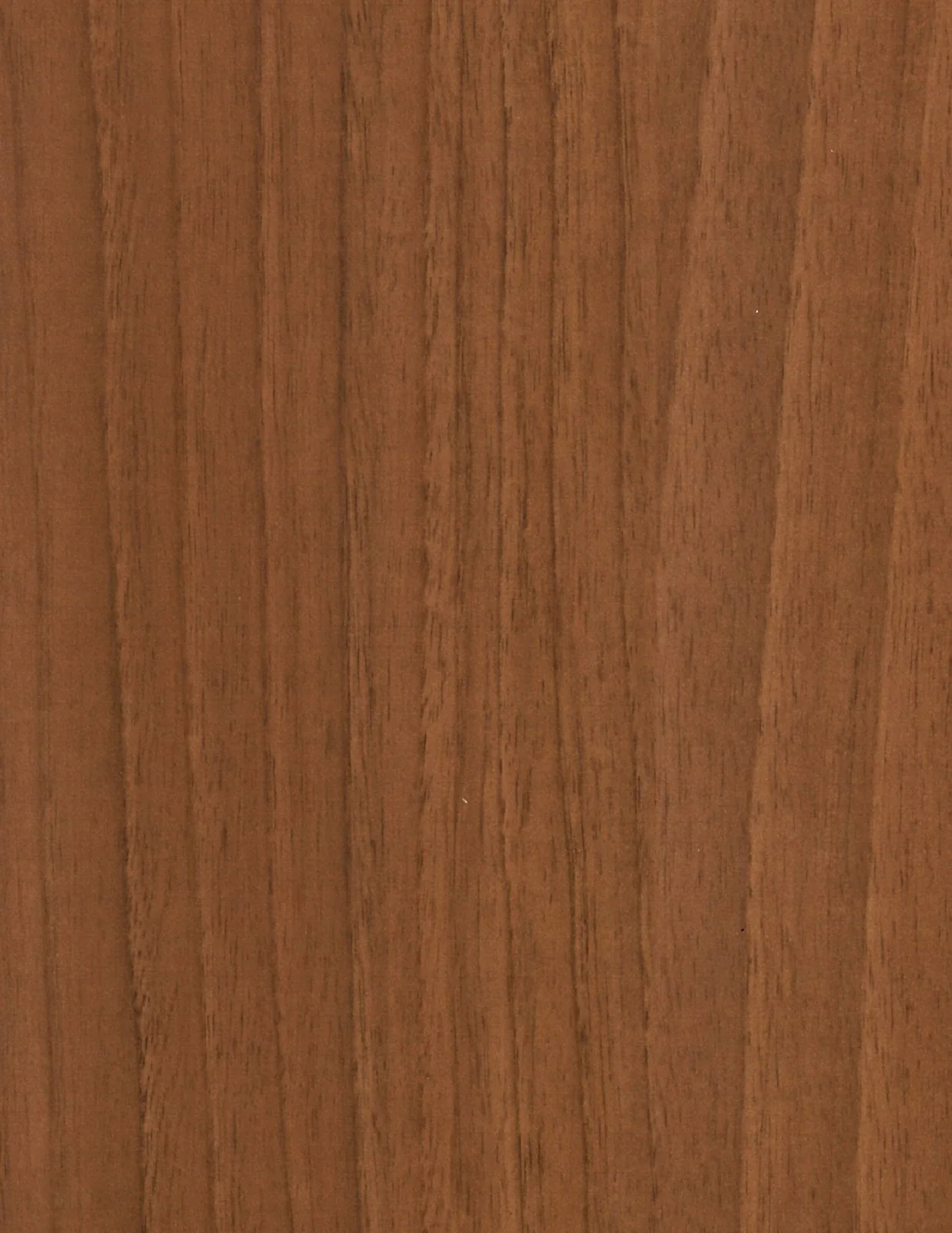 Walnut Spice 101031