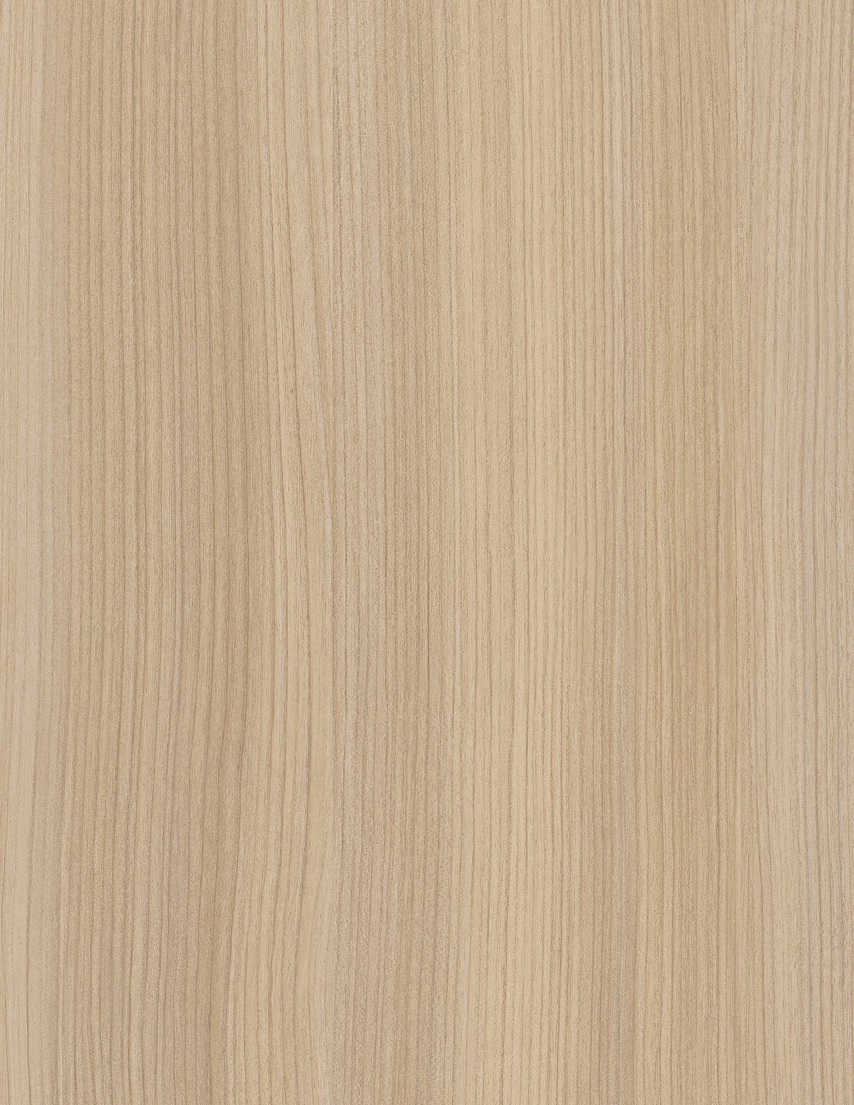 Mojave 101032