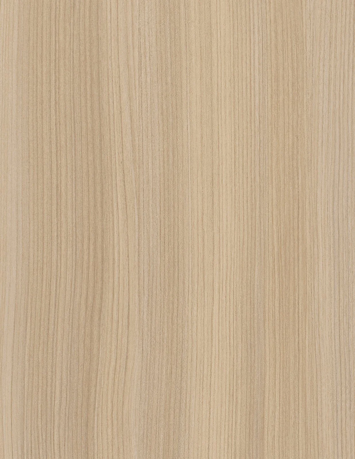 Mojave 101032