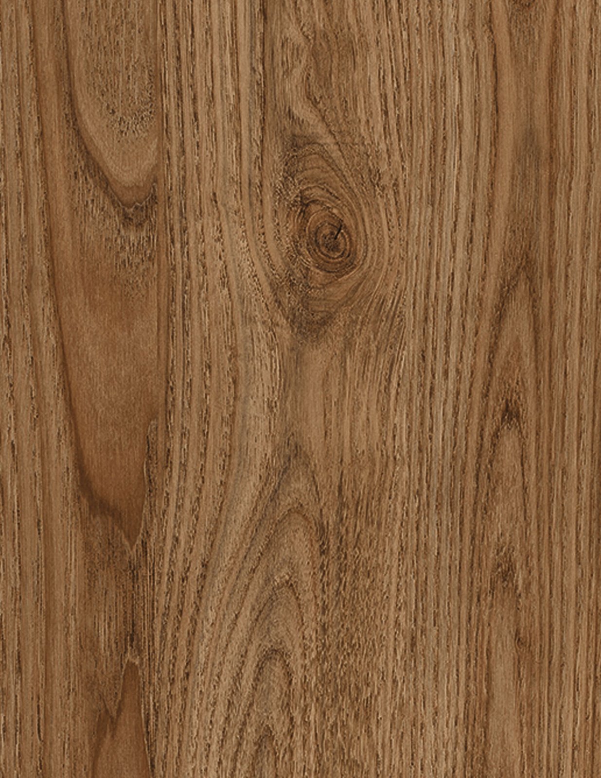Chestnut