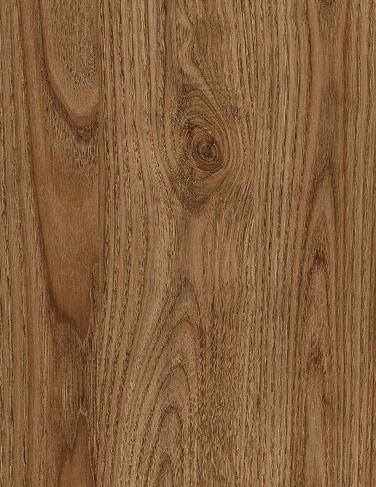 Chestnut 1185
