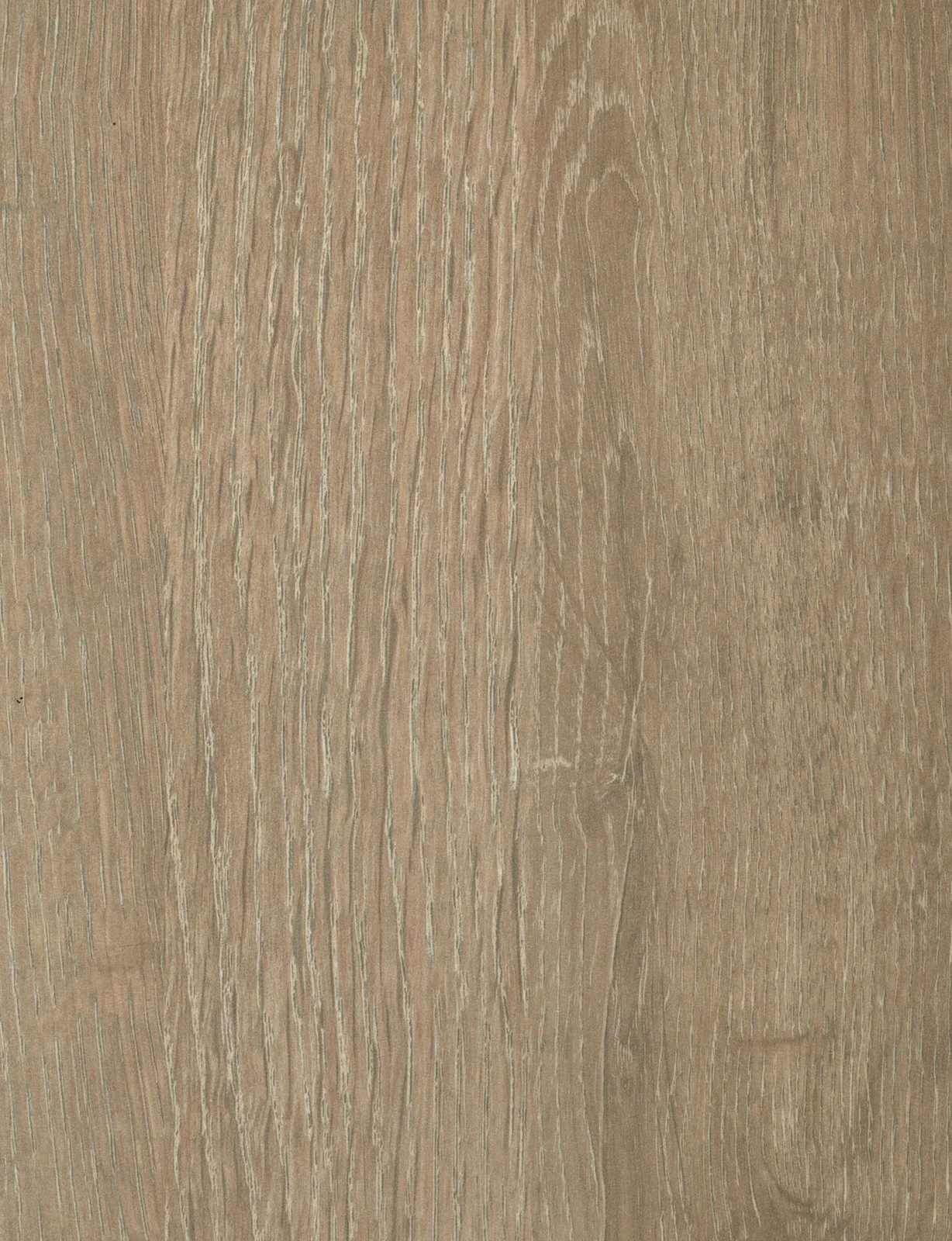 Black Walnut 1218