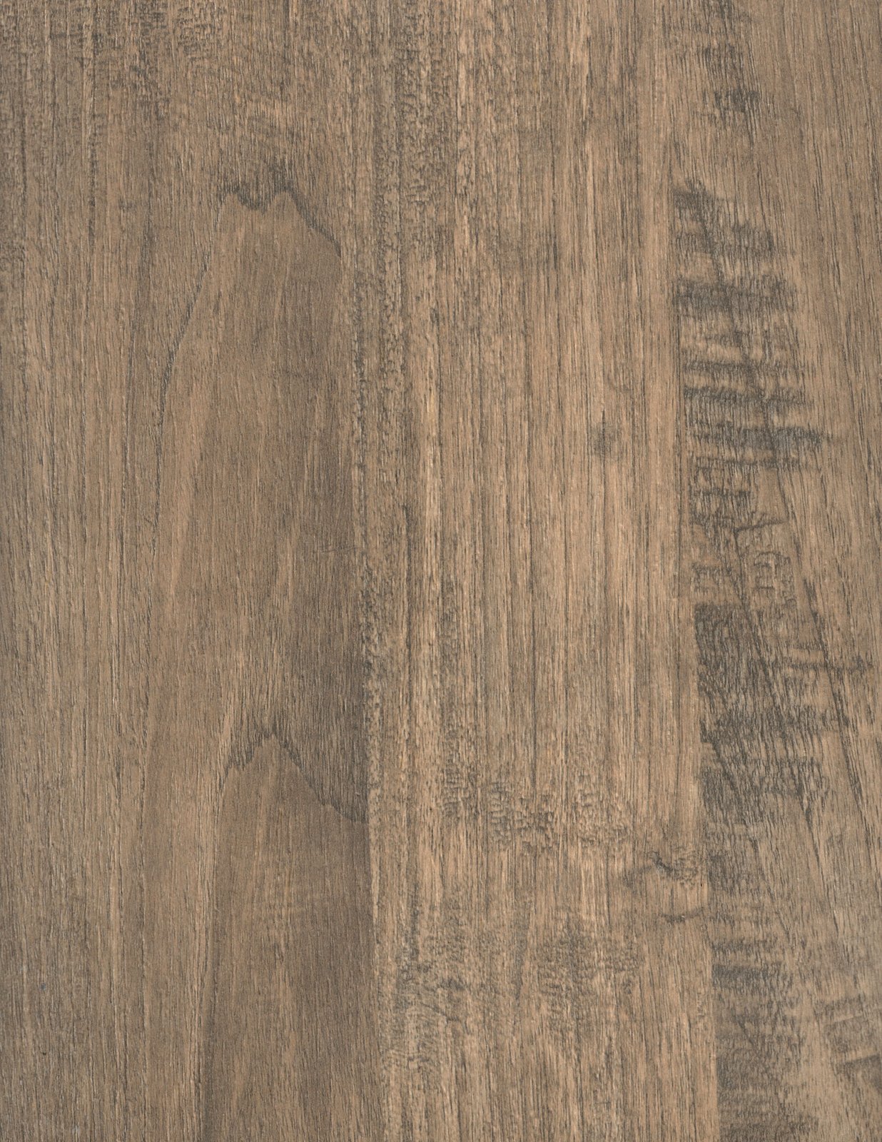 Italian Oak  1249