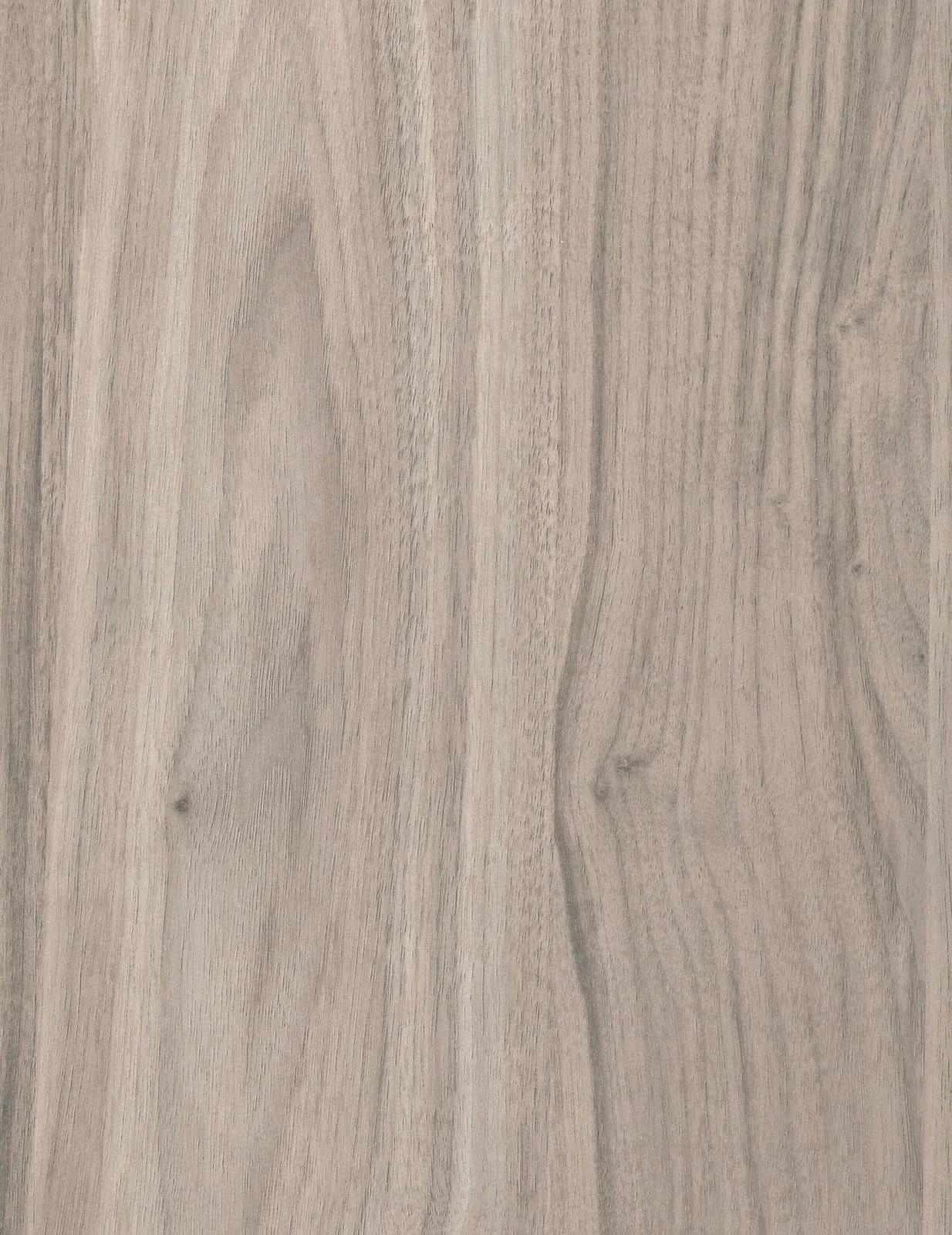 European Walnut  1141