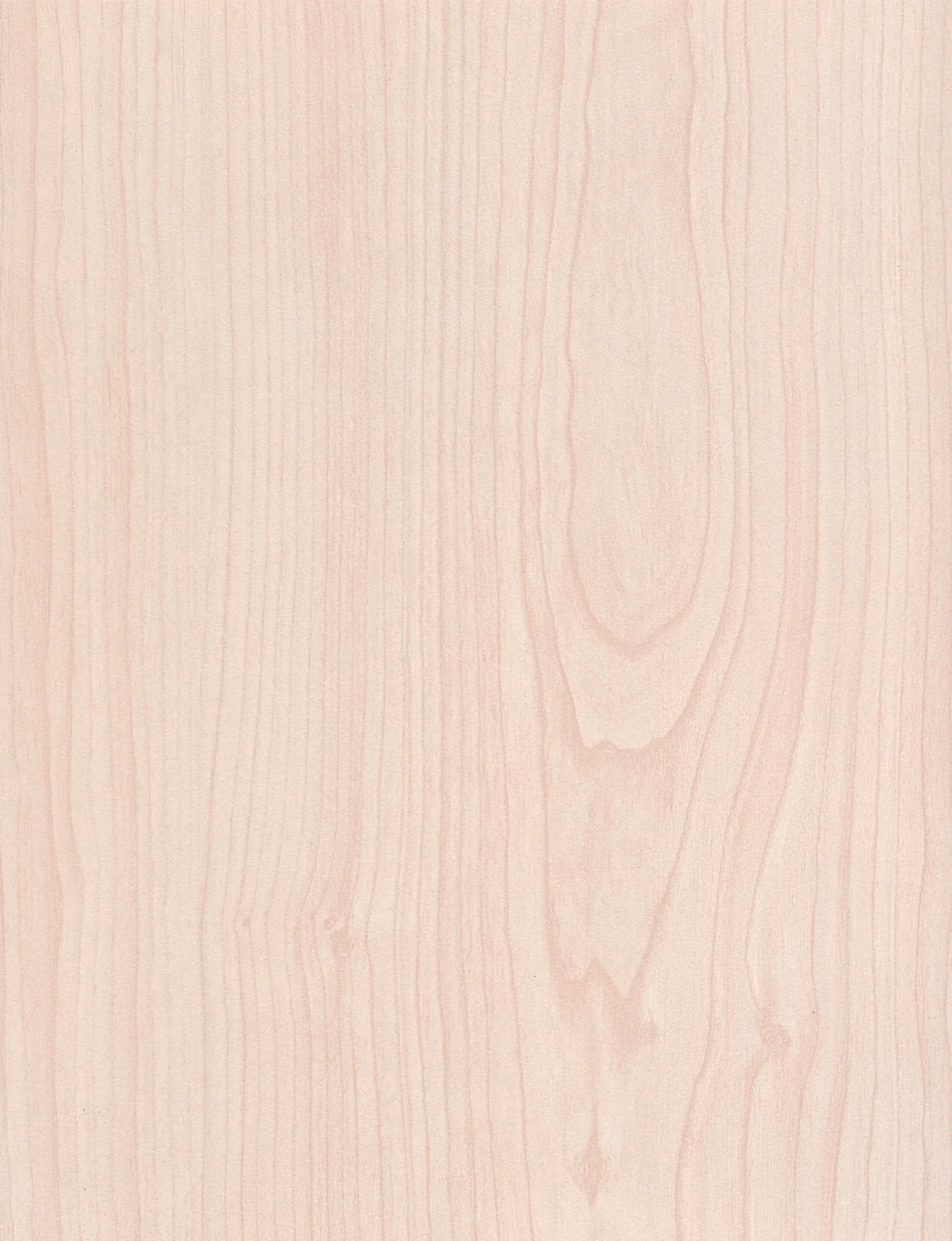 Sugar Maple 1142