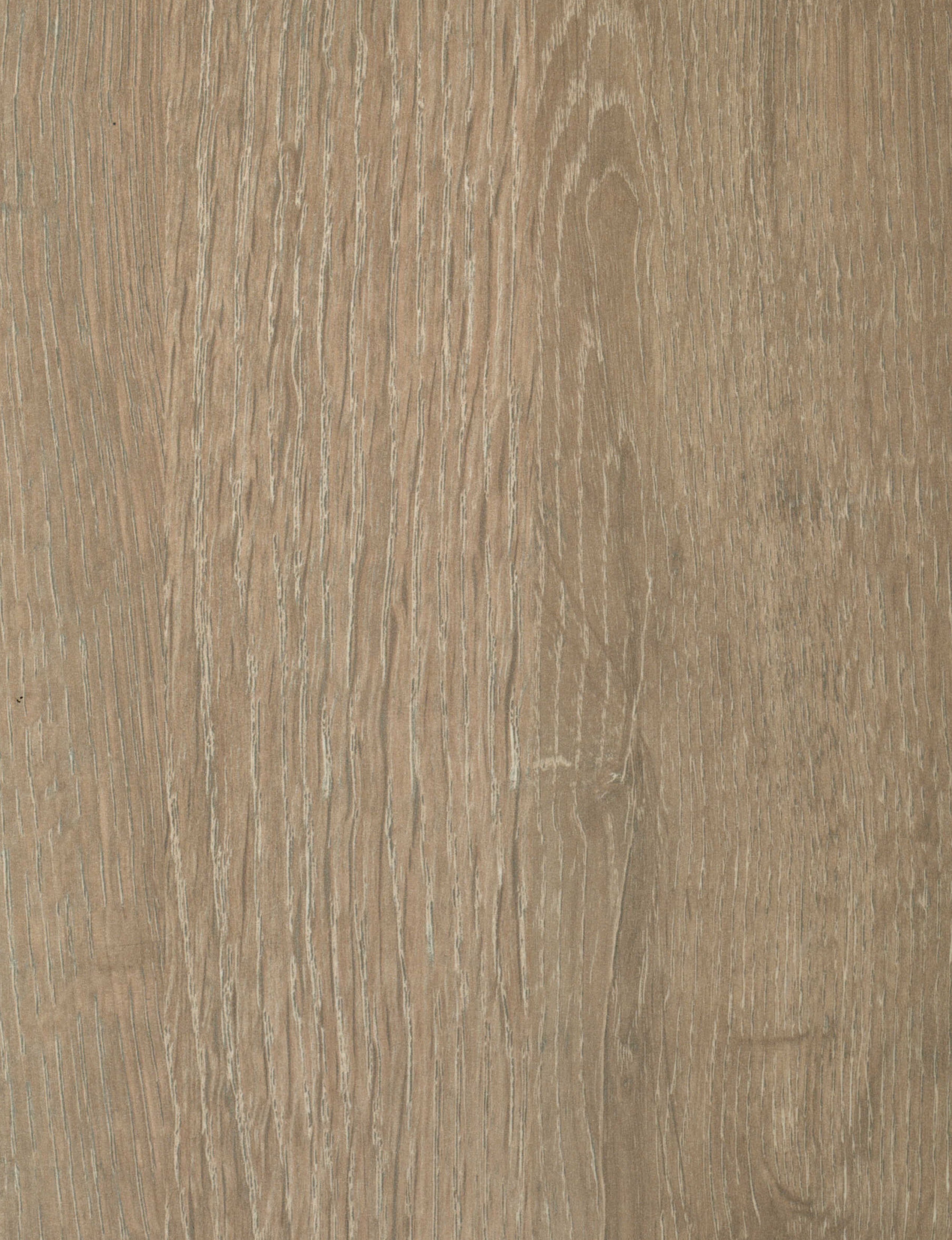 Black Walnut 1218