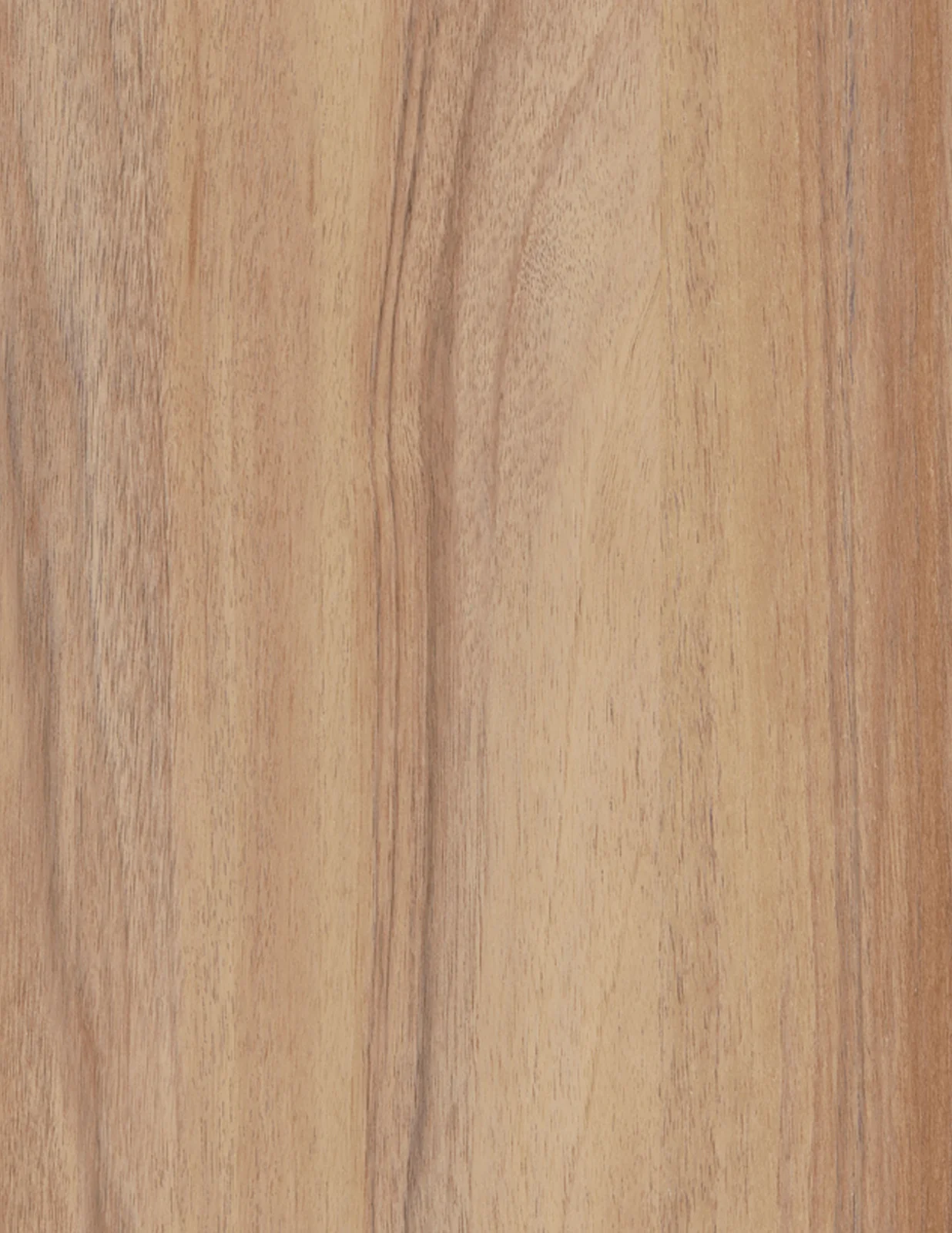 Blond Wood 1221