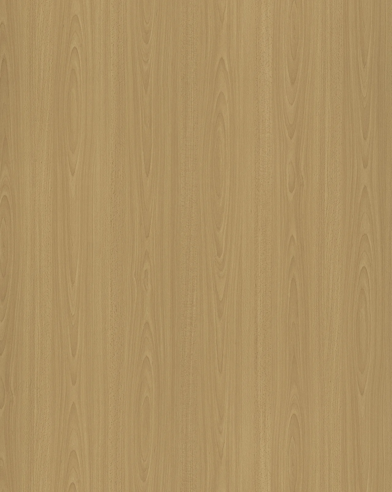 Beech F512