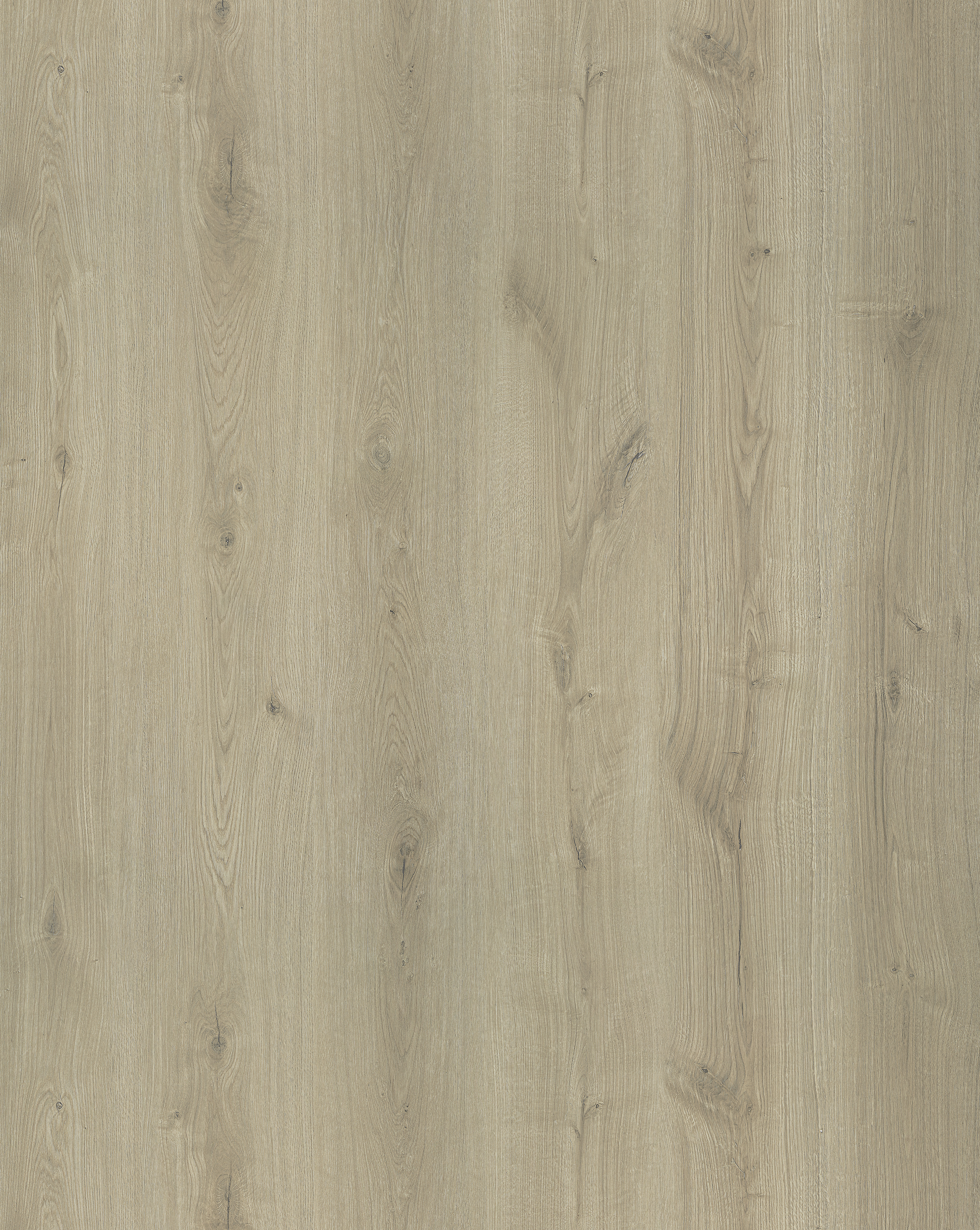 Tarik Oak F514