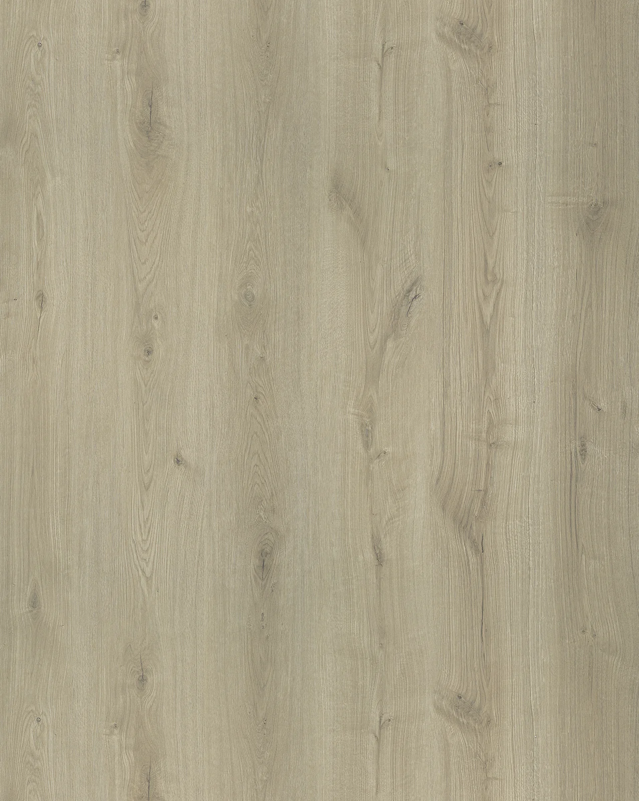 Tarik Oak F514