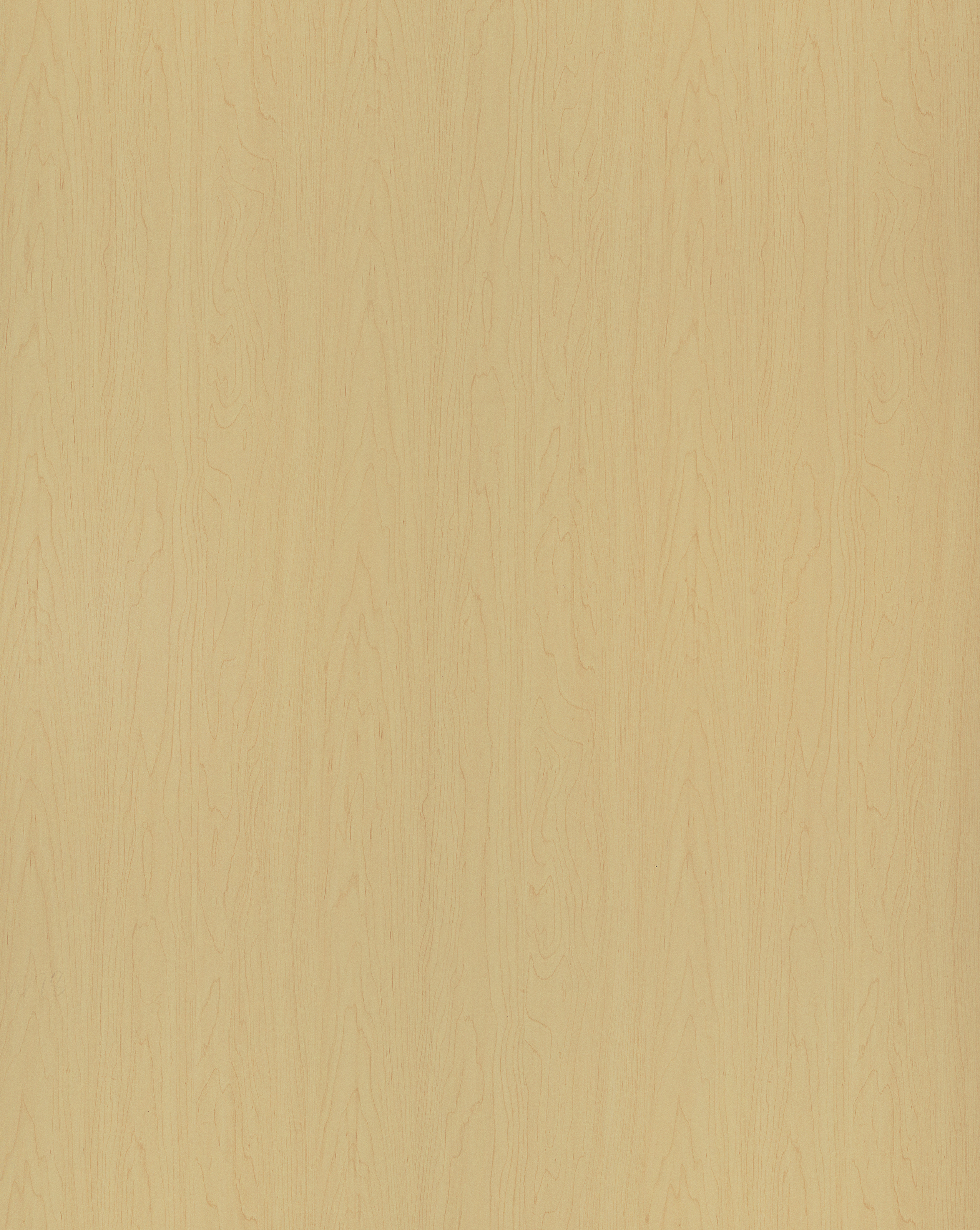 Maple II F519