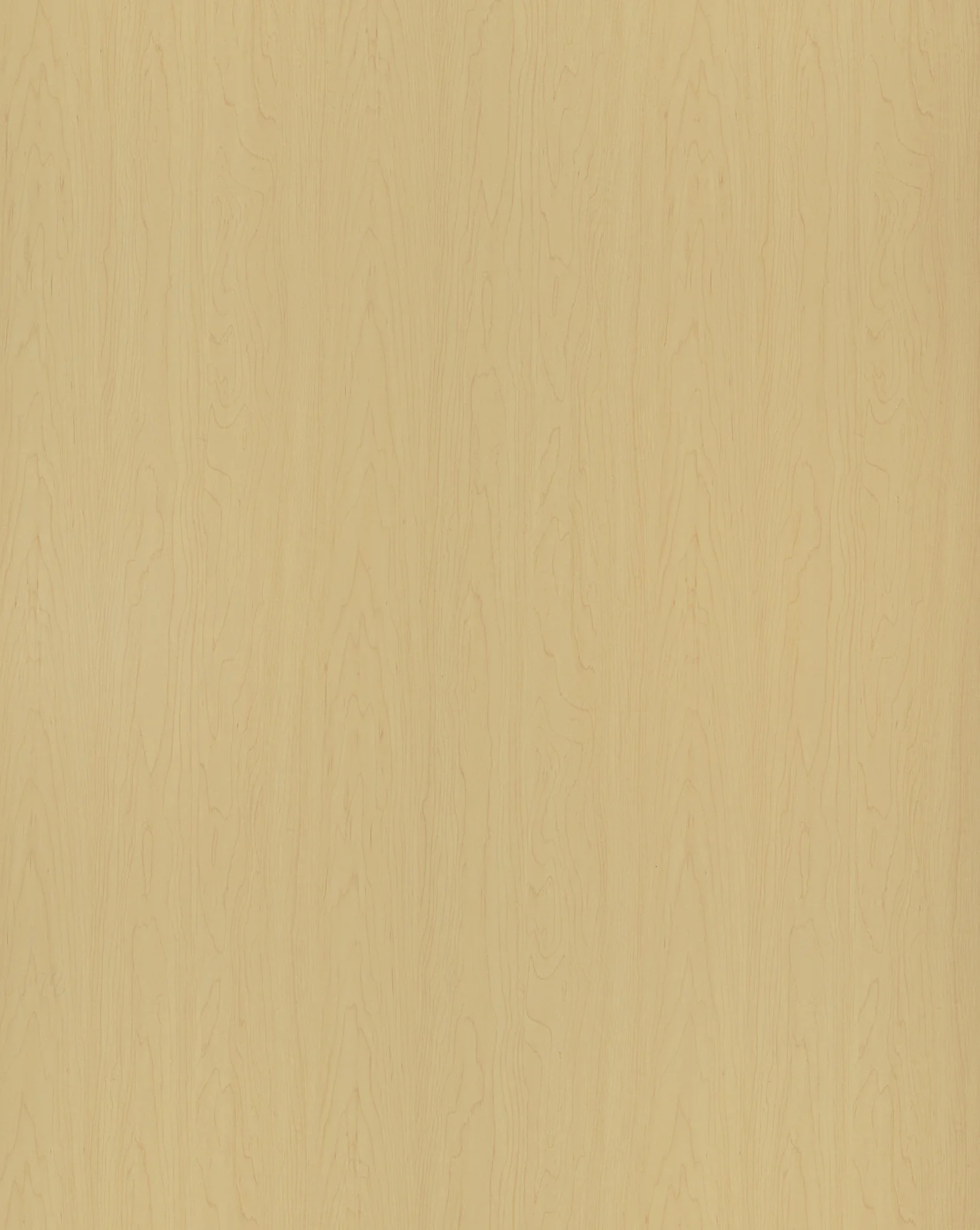 Maple II F519