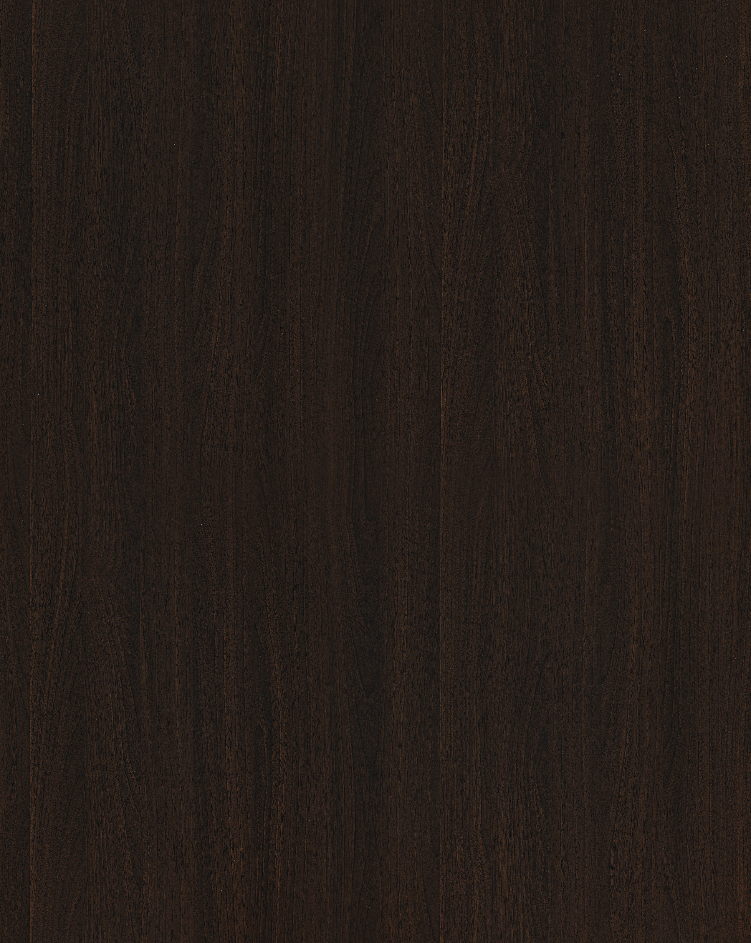 Walnut F521