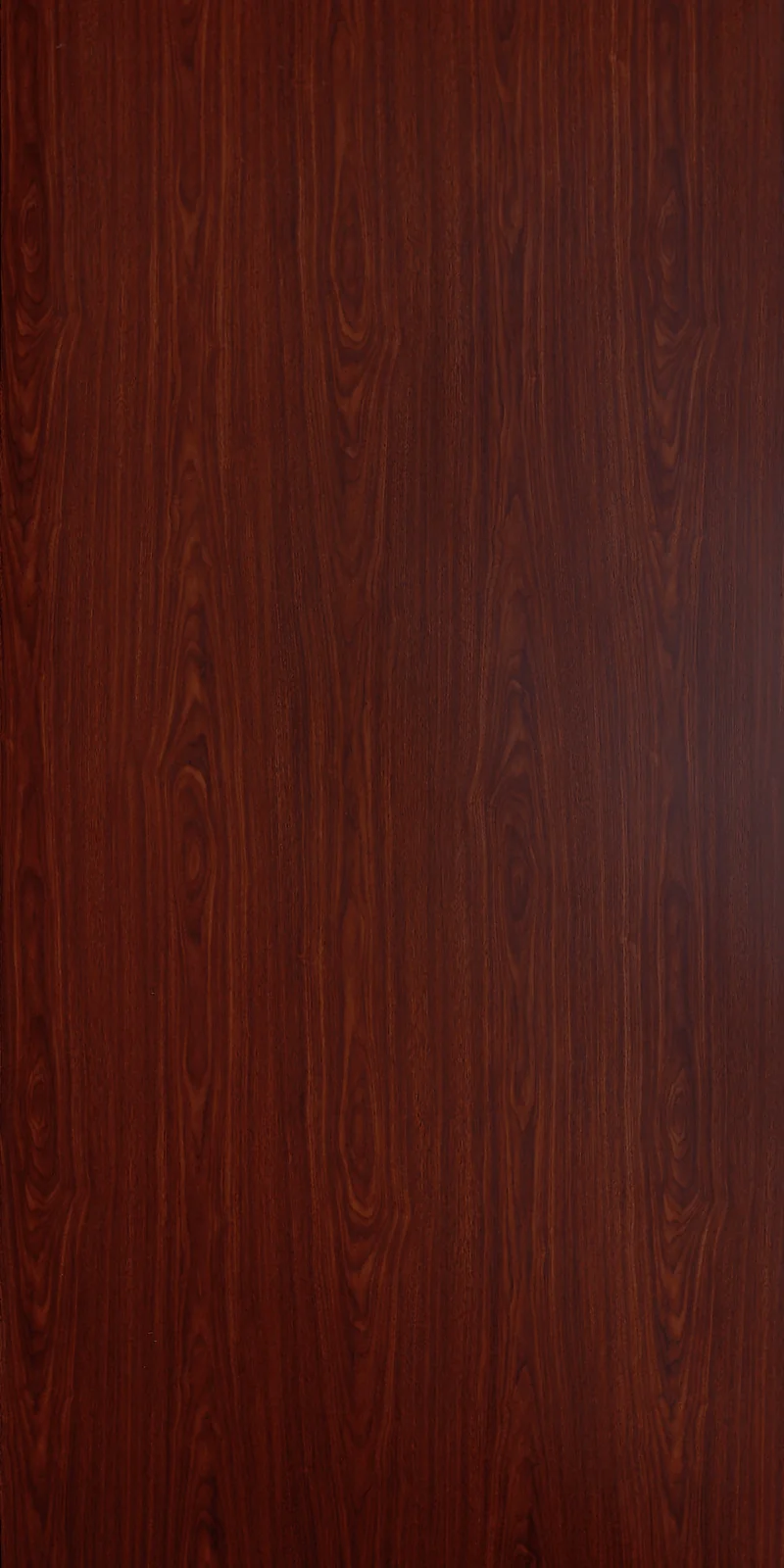 Cedar F531