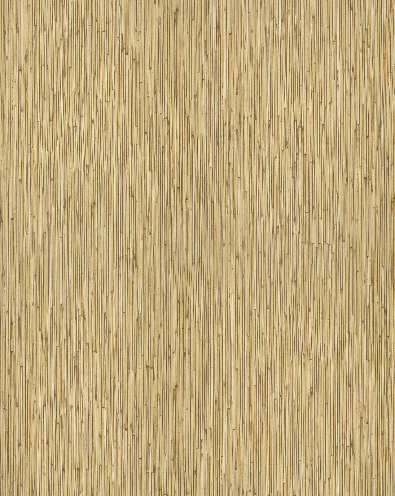 Bamboo F550