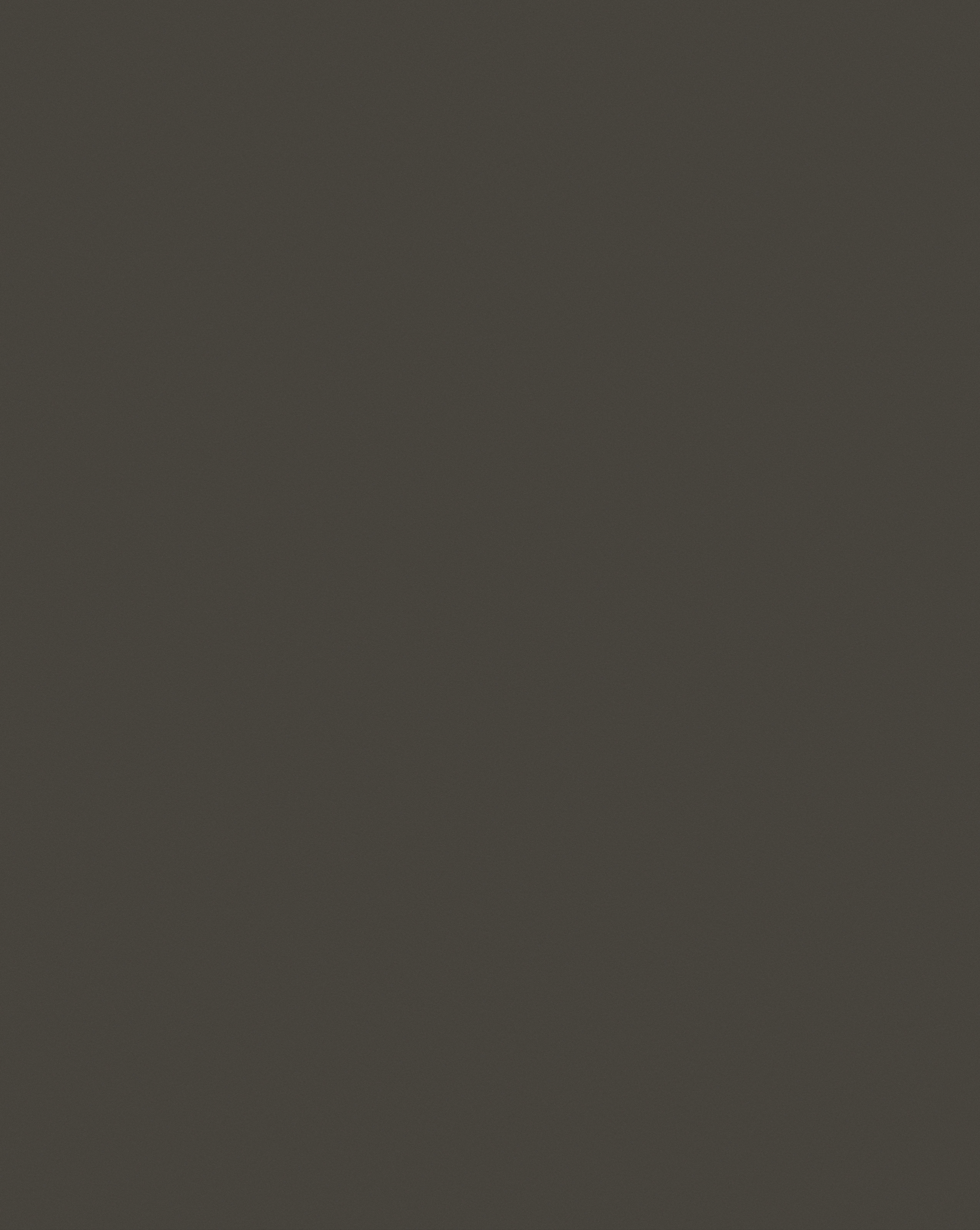 Dark Gray F613