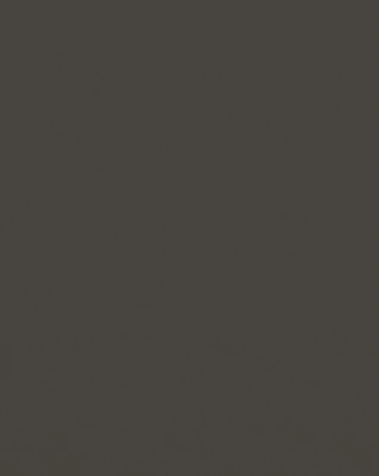 Dark Gray F613