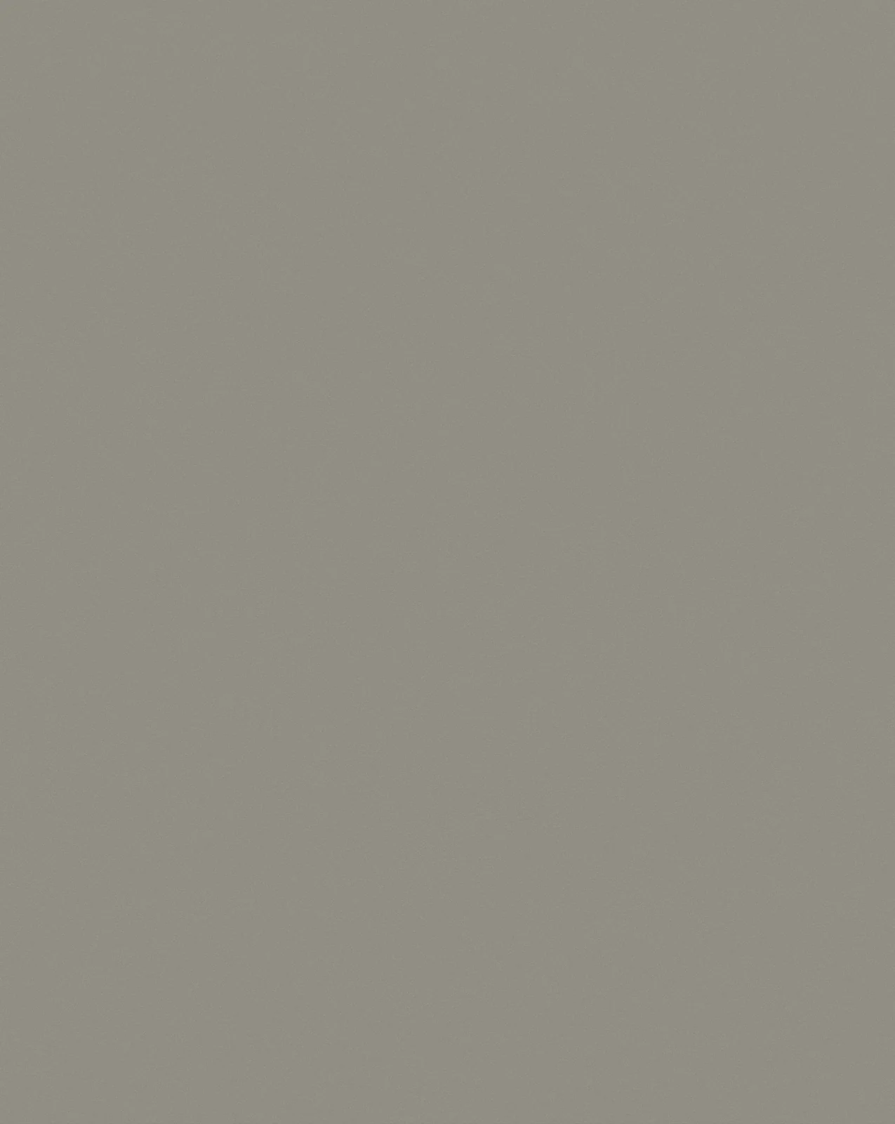 Gray Smoke F643