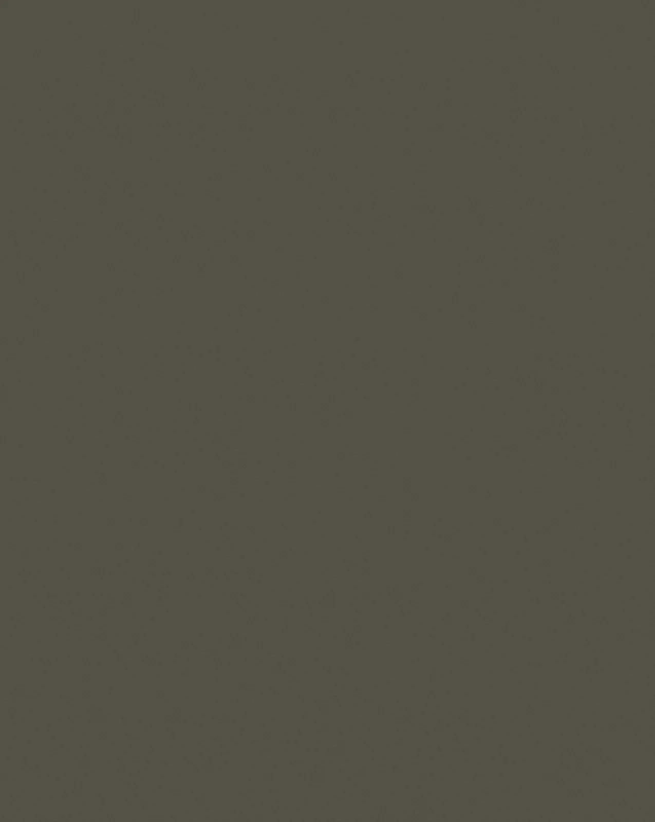 Steel Gray F673
