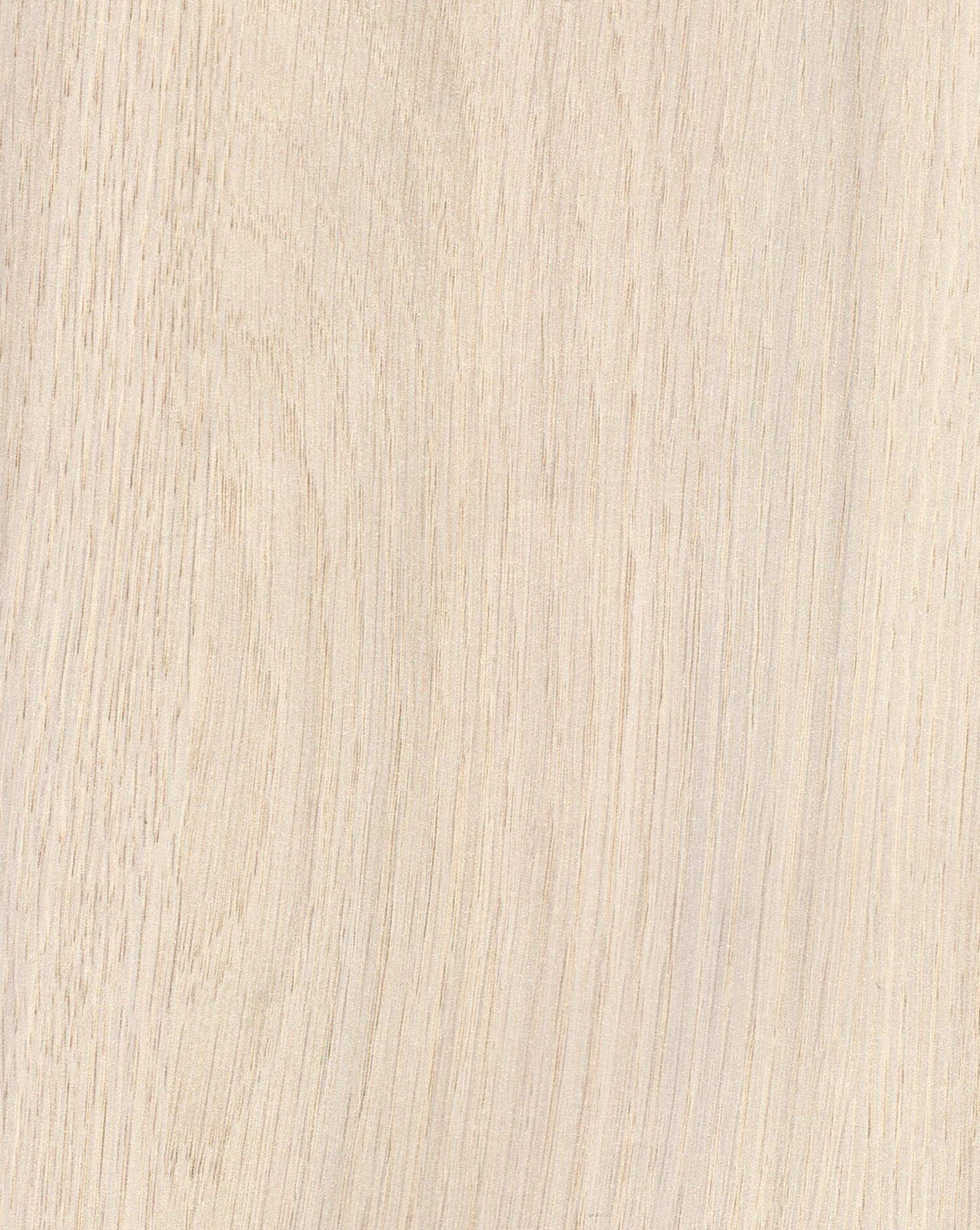 Chantilly White 523
