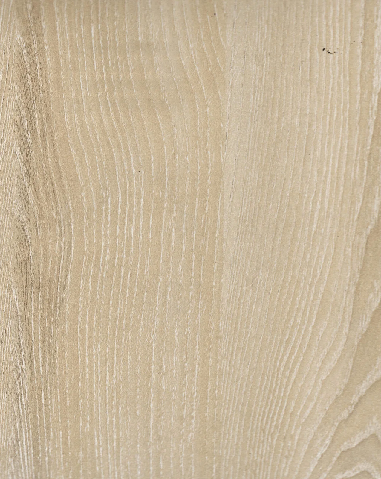 Real Rovere 526