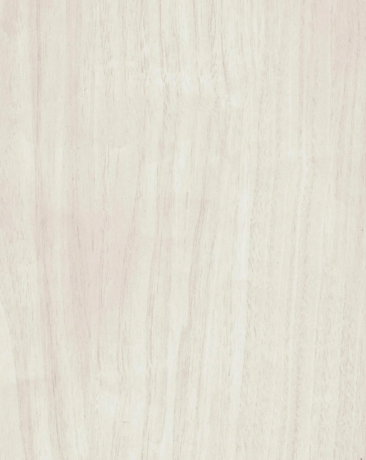 Glacier Oak 536
